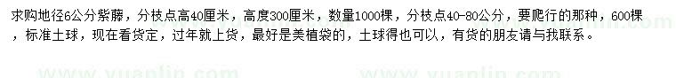 求購地徑6公分紫藤