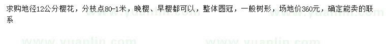 求購地徑12公分櫻花