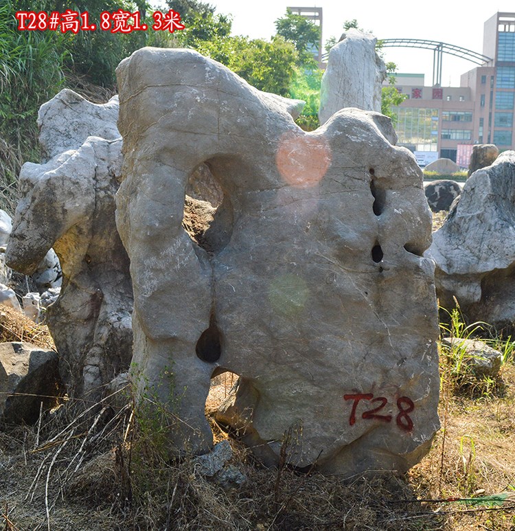 浙江太湖石基地自然石奇石原石 T28