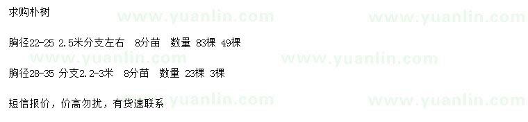 求購胸徑22-25、28-35公分樸樹