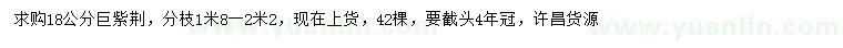 求購(gòu)18公分巨紫荊