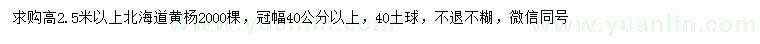 求購(gòu)高2.5米以上北海道黃楊