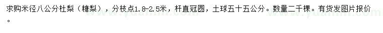 求購米徑8公分杜梨