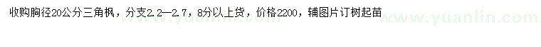 求購胸徑20公分三角楓