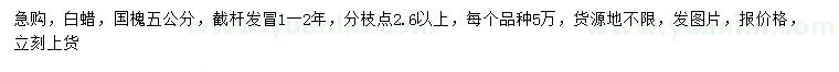 求購5公分白蠟、國槐
