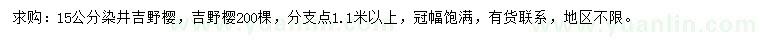 求購15公分染井吉野櫻