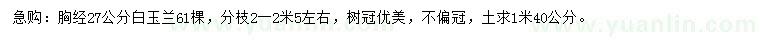 求購胸徑27公分白玉蘭