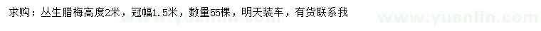 求購高2米叢生臘梅
