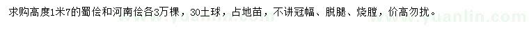 求購(gòu)高1.7米蜀檜、河南檜