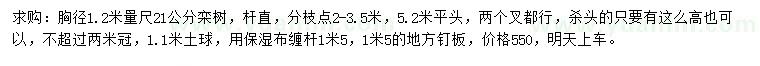 求購(gòu)胸徑21公分欒樹
