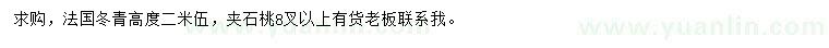 求購高2.5米法國冬青、夾竹桃