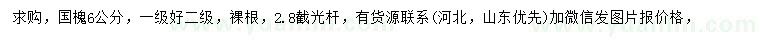 求購(gòu)6公分國(guó)槐