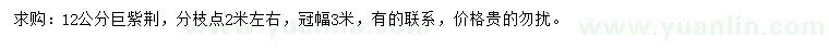 求購12公分巨紫荊