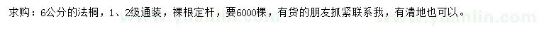 求購6公分法桐