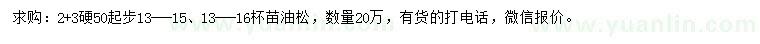 求購50公分起步油松