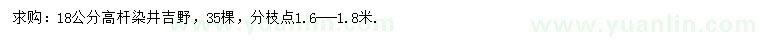 求購18公分高桿染井吉野