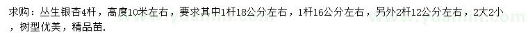 求購高10米左右叢生銀杏