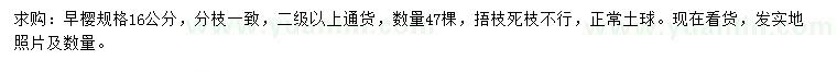 求購16公分早櫻