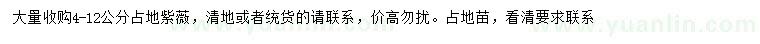 求購(gòu)4-12公分紫薇