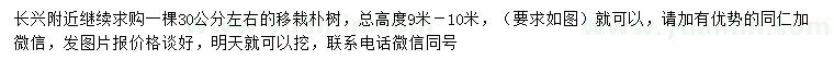 求購(gòu)30公分左右樸樹