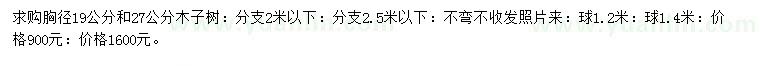求購胸徑19、27公分木子樹