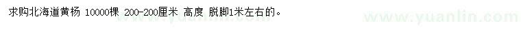 求購(gòu)高200公分北海道黃楊