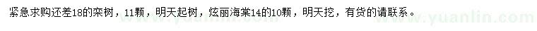 求購18公分欒樹、14公分炫麗海棠
