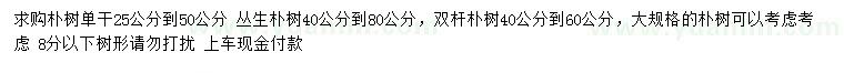 求購(gòu)單桿樸樹(shù)、叢生樸樹(shù)、雙桿樸樹(shù)