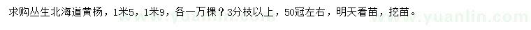 求購1.5、1.9米叢生北海道黃楊