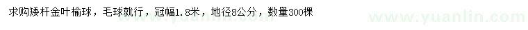 求購(gòu)冠幅1.8米金葉榆球