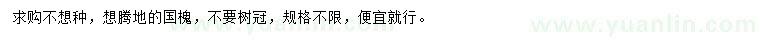 求購國槐