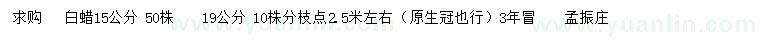 求購15、19公分白蠟