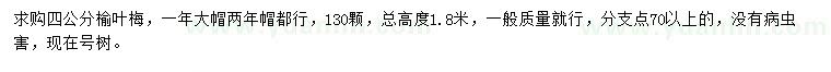 求購4公分榆葉梅