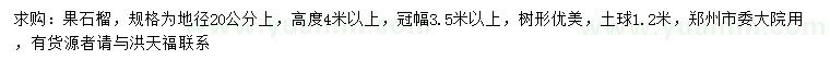 求購地徑20公分以上果石榴