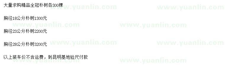 求購(gòu)胸徑18、23、28公分樸樹