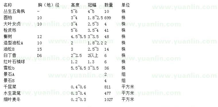 求購叢生五角楓、圓柏、大葉女貞等