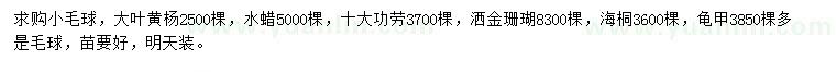 求購(gòu)大葉黃楊、水蠟、十大功勞等