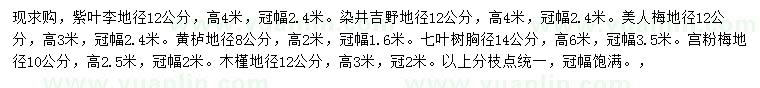 求購紫葉李、染井吉野櫻、美人梅等