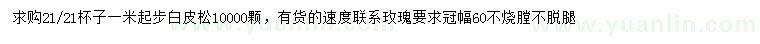 求購1米起步白皮松