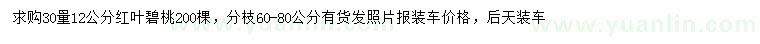 求購30量12公分紅葉碧桃