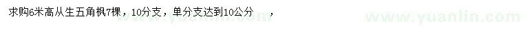 求購高6米叢生五角楓