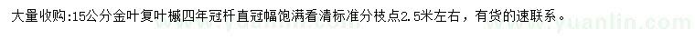 求購15公分金葉復(fù)葉槭