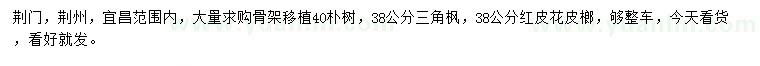 求購樸樹、三角楓、紅皮花皮榔