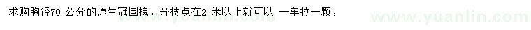 求購胸徑70公分國槐