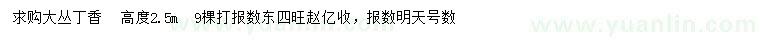 求購高2.5米丁香