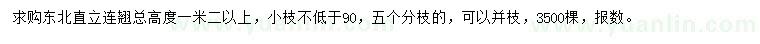 求購高1.2米以上東北直立連翹