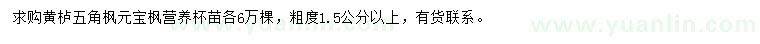 求購黃櫨、五角楓、元寶楓