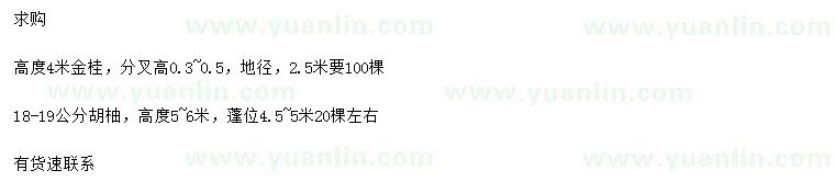 求購(gòu)高4米金桂、18-19公分胡柚