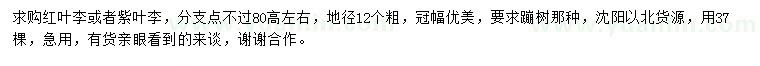 求購地徑12公分紅葉李、紫葉李