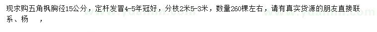 求購胸徑15公分五角楓